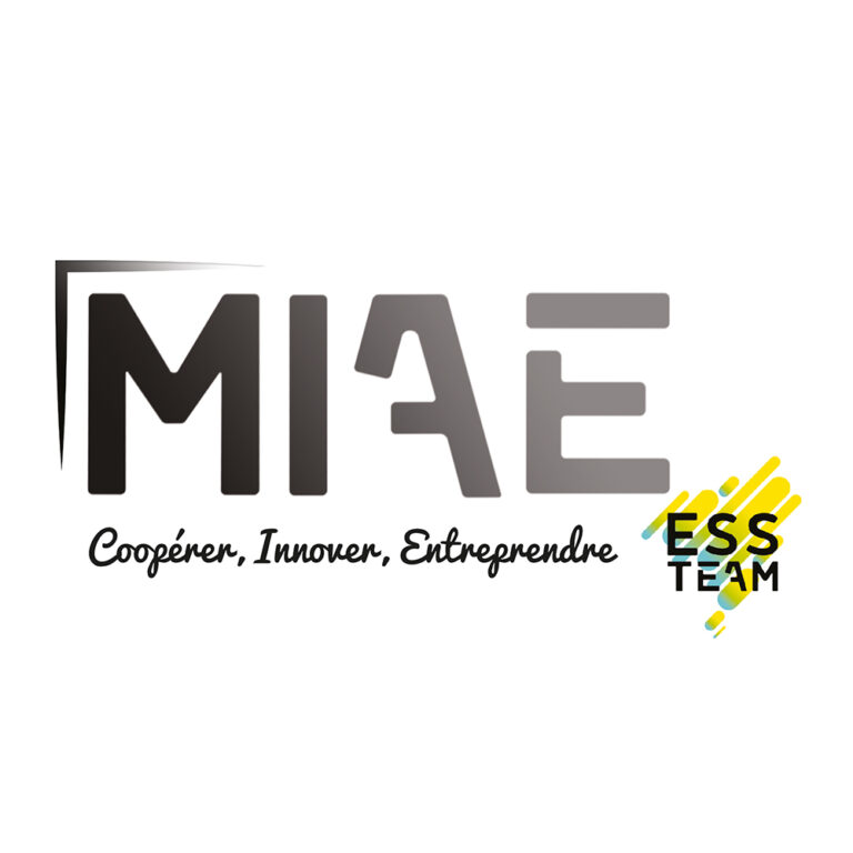 MIAE 768x768